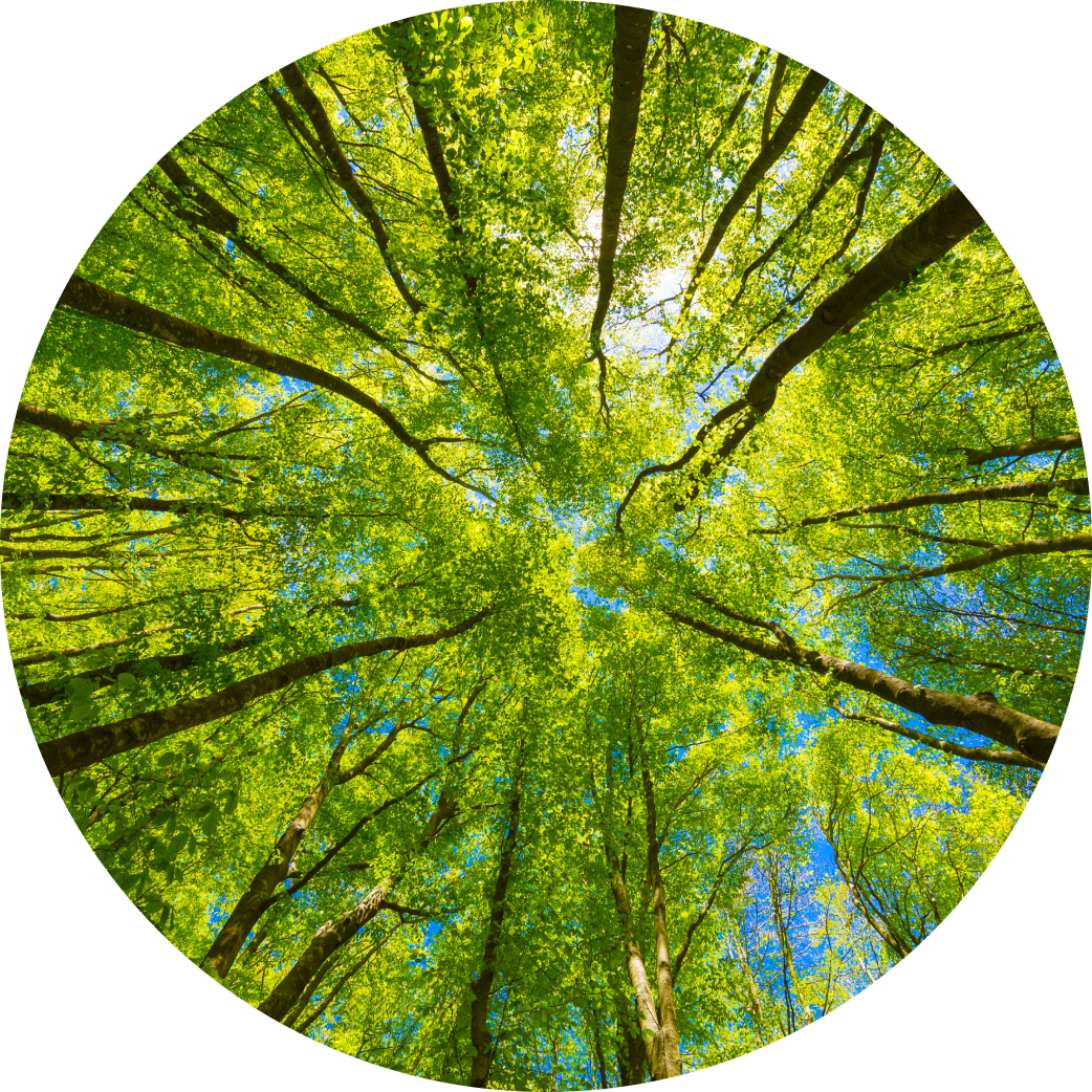 Forêt gérée durablement – PEFC